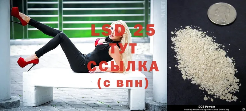 закладка  Вельск  Лсд 25 экстази ecstasy 